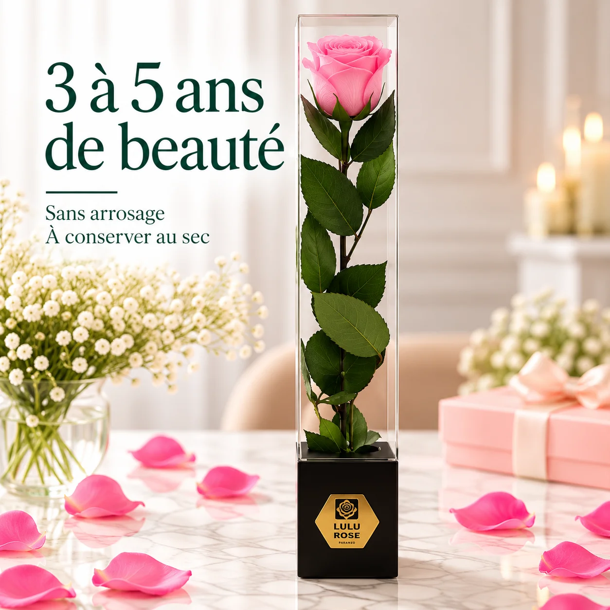 Rose rose stabilisée 60 cm dans son coffret, 3 à 5 ans de beauté, sans arrosage