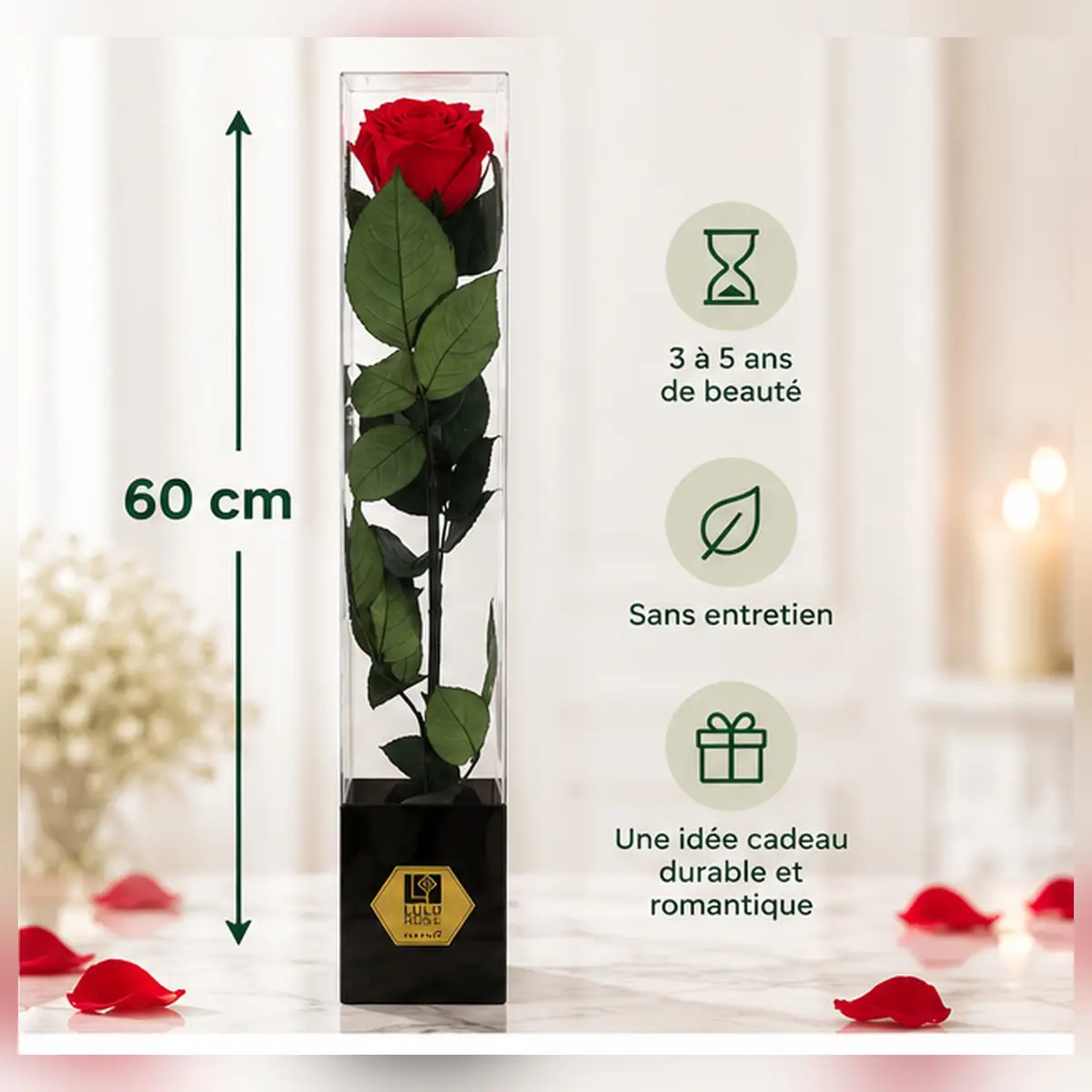 Rose rouge stabilisée 60 cm - dimensions