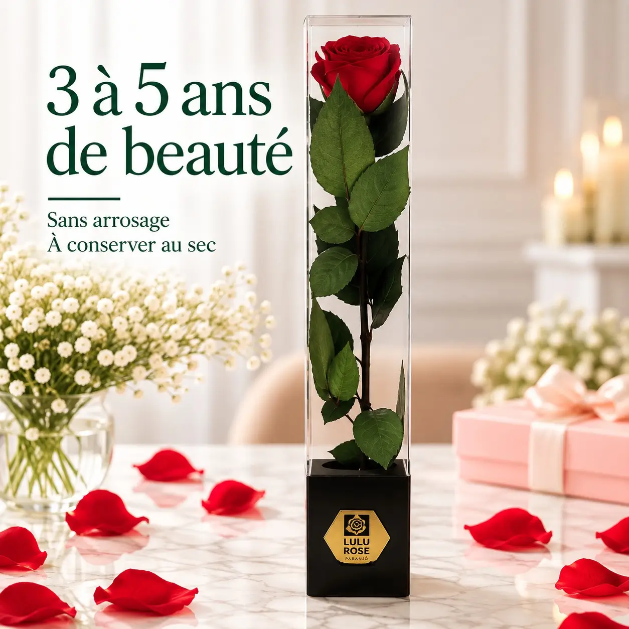 Rose rouge stabilisée de 60 cm en coffret transparent, 3 à 5 ans de beauté, sans arrosage