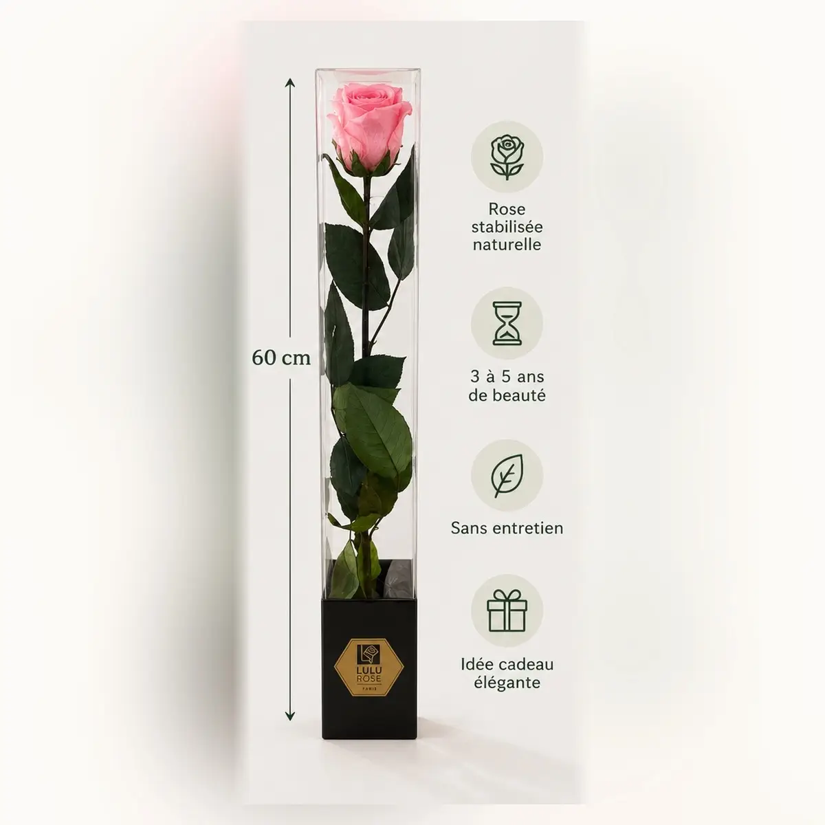 Rose stabilisée rose de 60 cm, visuel des dimensions