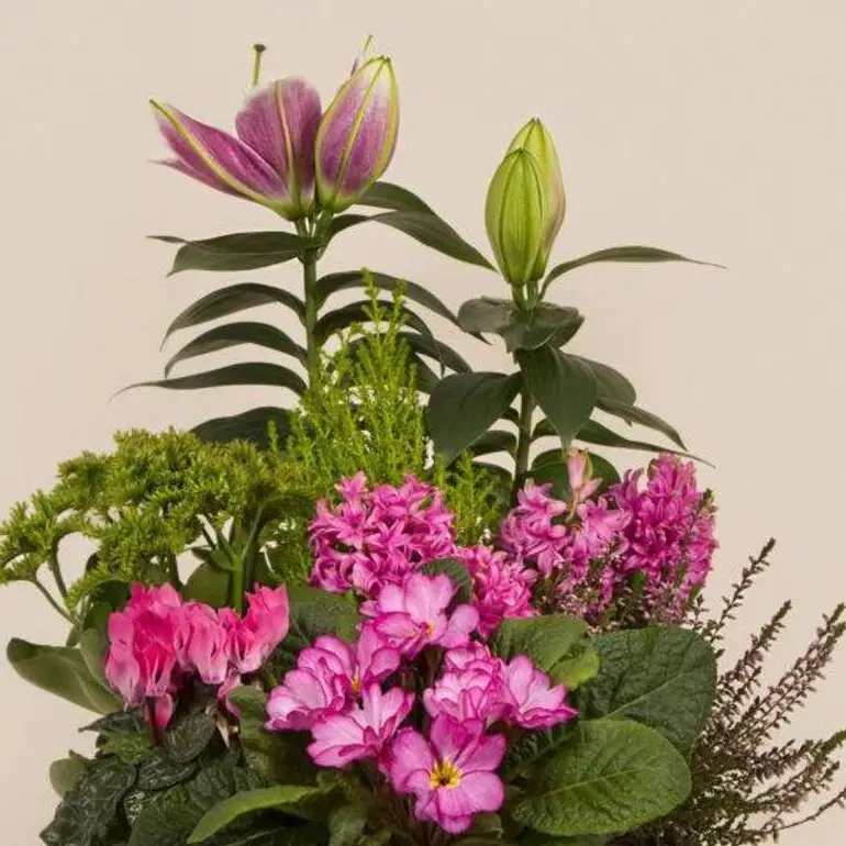 Coupe de plantes – vue de détail